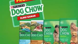 Dog Chow