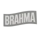brahamCopilot_20251020_133044