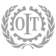 oit imagen_150x150 (1)